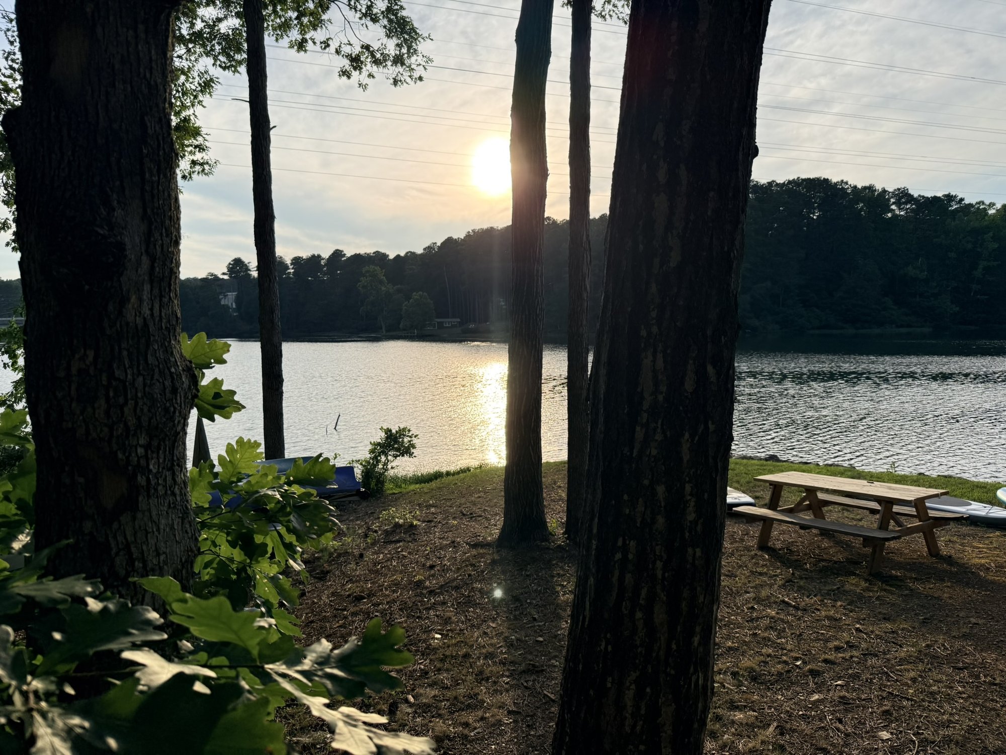 View through the pines toward the water